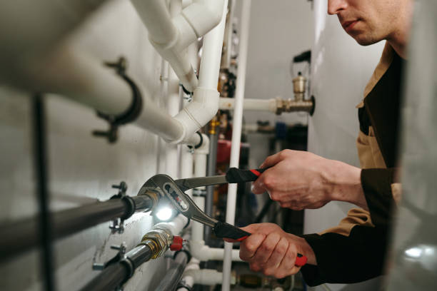 Best Drain Cleaning Services  in Blue Earth, MN