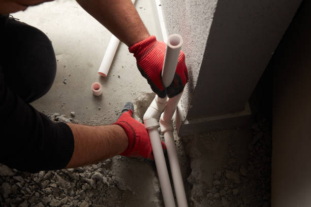 Best Clogged Drain Plumber  in Blue Earth, MN