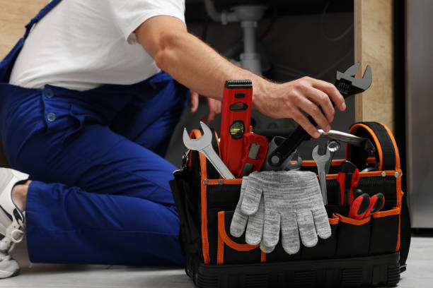 Best Commercial Plumbing Services  in Blue Earth, MN